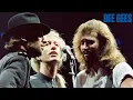 Lagu BEE GEES : THE ONLY LOVE  (LYRICS)