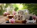 Relax Massage Music Spa Music No Ads Spa Music Relaxation No Ads