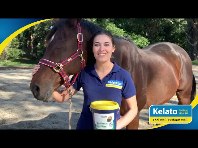 Kelato BiotinMAX Concentrate
