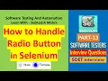 13 - HowTo Handle Radio Button In Selenium