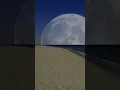 Download Lagu Moon rise
