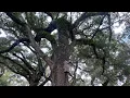 Trader s Hill Campout Folkston GA