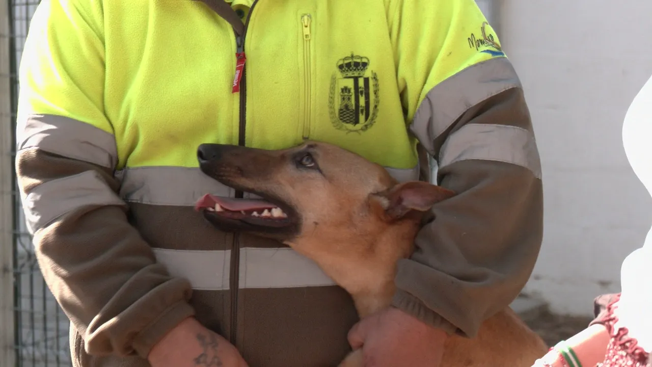 Visitamos el Refugio de tránsito de mascotas