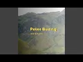 Download Lagu Peles Buang MP3