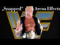 Sycho Sid - Entrance Theme Song Snapped With Arena Effects
