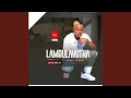Download Lagu QOMA MSHELI WAMI