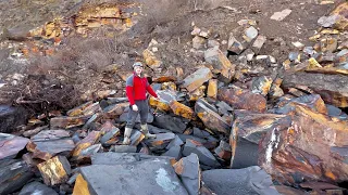 Huge LANDSLIDE Fossil Hunting Reptile Bones Crinoid Fish Ammonites and More