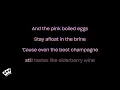 Wednesday - Elderberry Wine (Karaoke Version)