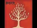 Gojira -  Embrace The World