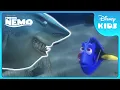 Download Lagu 🦈 Meet Bruce the “Friendly” Shark! 😬 | Finding Nemo | Disney Kids
