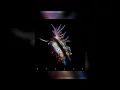 Sub focus feat Kelli-leigh - Calling for a sign ( s l o w e d + r e v e r b )