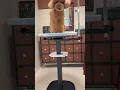 Pet Store Installation Self-Service Dog Wash Grooming Equipment in Daily Use PAT PET TECH