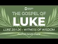 Luke 20 1-26 - Witness of Wisdom
