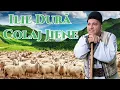 Download Lagu Ilie Dură ~ 🐑Colaj Jiene🐑