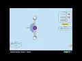 Molecule Shapes Basics - Model
