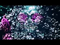 Haunting - Braeker (Official Lyric Video)