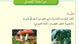 علوم الصف الثالث الابتدائيه حل مراجعه الفصل الاول صفحه 44 