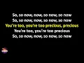 James Blake - You're Too Precious (Lyrics version)