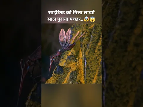 साइंटिस्ट को मिला लाखों साल पुराना मच्छर..🤯😱...#shorts