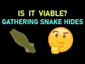 Is It Viable Gathering Snake Hides for Money RuneScape 3