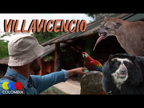 Villavicencio Tour | Best Zoo & Where to Try Mamona