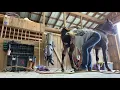 The Chaotic Real Life of a Barn Manager