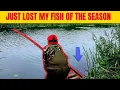 Download Lagu Fenland drain specimen hunt
