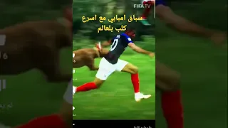 سباق امبابي مع اسرع كلب بلعالم 