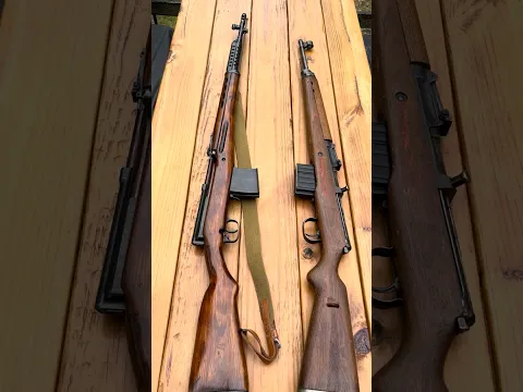 SVT-40 Vs Gewehr 43
