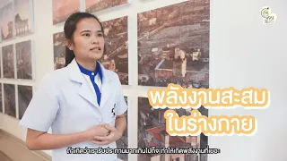 โรคอ้วนในเด็กเกิดจากสาเหตุอะไรบ้าง