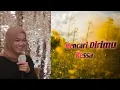 Download Lagu Mencari Dirimu Ressa