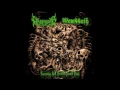 Wombbath  - Decomposed Sanity.   Track teaser from the coming split 7"
