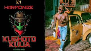 harmonize kushoto kulia official audio 