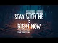 Download Lagu Stay With Me x Right Now - Lyrics (Slowed \u0026 Reverb)