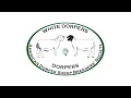 American Dorper and White Dorper Youth Show 2025