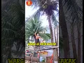 Download Lagu Video lucu hiburan warga 62 video lucu banget bikin ngakak sakit perut #shorts