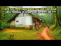 Download Lagu BEGINILAH KEADAAN DI KAMPUNG PEDALAMAN