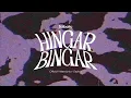 Salbatic   Hingar Bingar (Official Lyrics Video) | Explicit