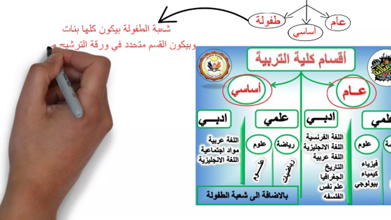 بالفيديو والشرح : علامات نتائج الفصل الدراسي الأول لطلاب جامعة الأزهر