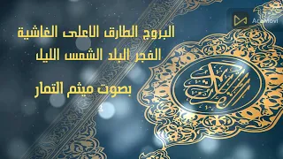 البروج الطارق الأعلى الغاشية الفجر البلد الشمس الليل بصوت الشيخ ميثم التمار 