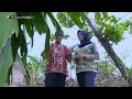 Download Lagu Puputan Madiun, Makam Ki Ageng Gringsing Di Kota Miring Madiun | Tunjung Budoyo Eps.13 2/3