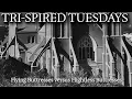 Tri-Spired Tuesdays Episode 72 Flying versus Flightless Buttresses