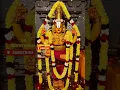 Lagu 🕉️🙏 Venkateshwara Swamy Suprabhatam II #venkateswara #venkateswaraswamy #tirumalabalaji #balaji