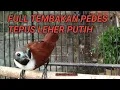 Download Lagu FULL TEMBAKAN PEDES TEPUS LEHER PUTIH