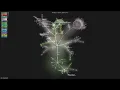 elixir -
