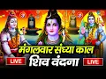 Download Lagu LIVE शिव भजन स्पेशल आज के दिन शिवजी की यह वंदना सुन लेना आपकी हर इच्छा पूरी हो जाएँगी | शिव भजन 2024