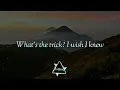 All Falls Down - Alan Walker ft. Noah Cyrus and Juliander (Lyric Video)