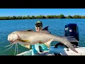Download Lagu FISH OF A LIFETIME! / Tiny lure, Giant Fish