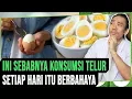 Download Lagu Ini Sebabnya Konsumsi Telur Setiap Hari Itu Berbahaya