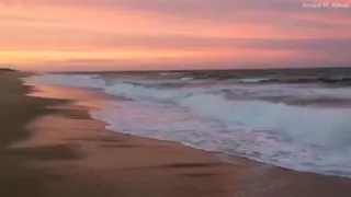 حالات واتس اب عمرو دياب جميله جدا جدا 